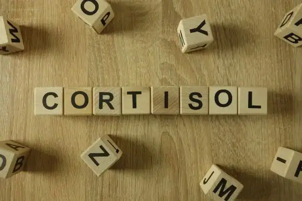 The Hidden Connection: How Stress Shapes Your Fitness and Body Composition 2 Image saying "Cortisol" and how stress Wellingborough impacts your wellbeing and bodies shape